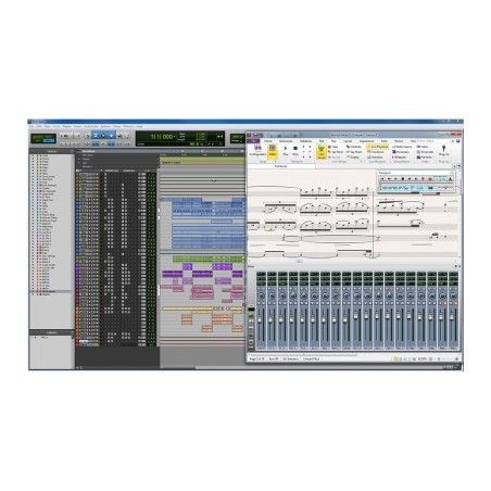 Sibelius Ultimate - 1 Yıllık (Yenileme)