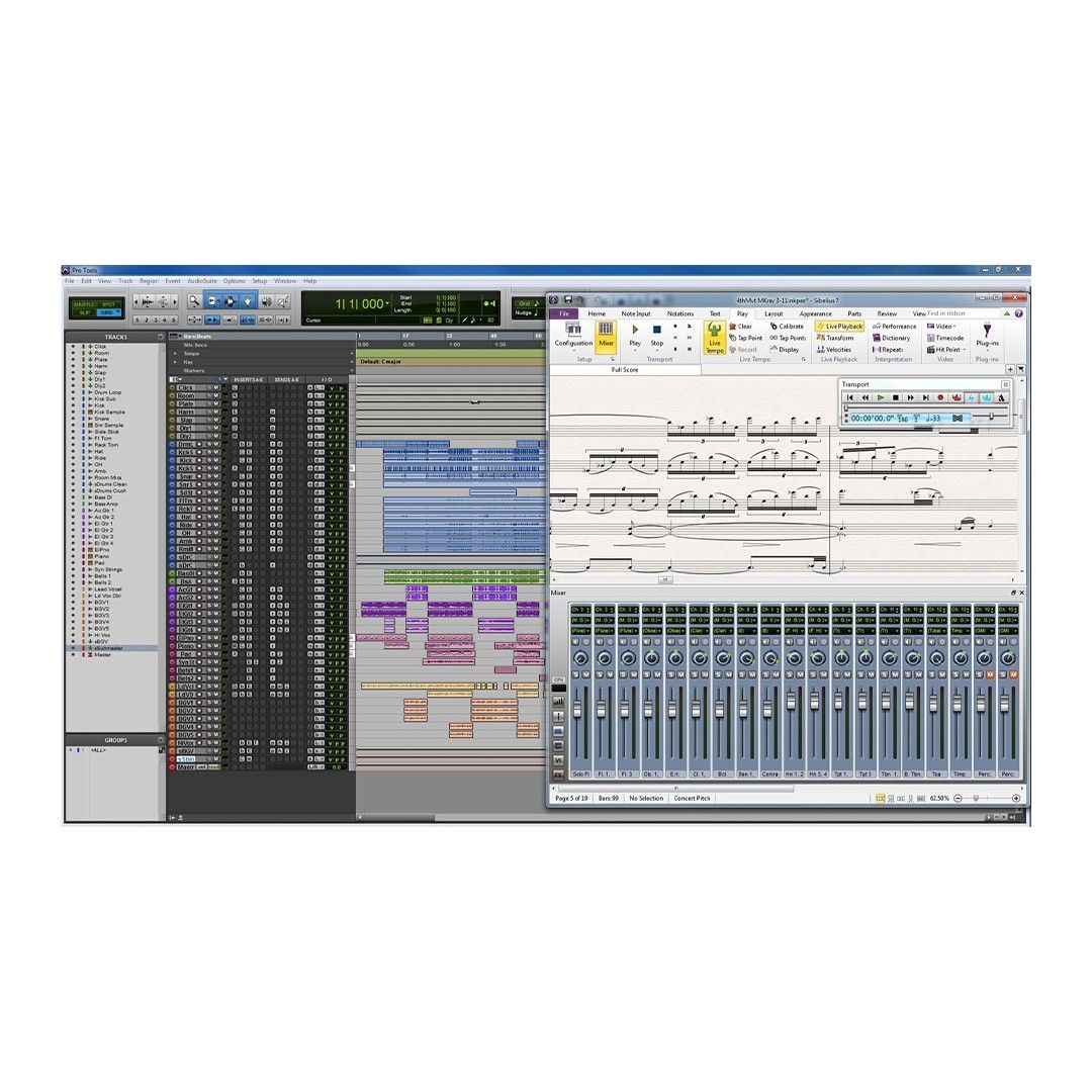 Sibelius - 1 Yıllık