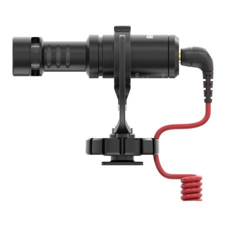 VideoMicro