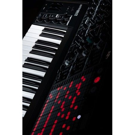 MatrixBrute Noir Edition